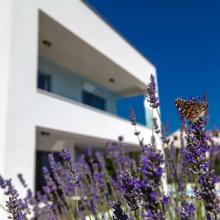 Vila Rina - Luxury *